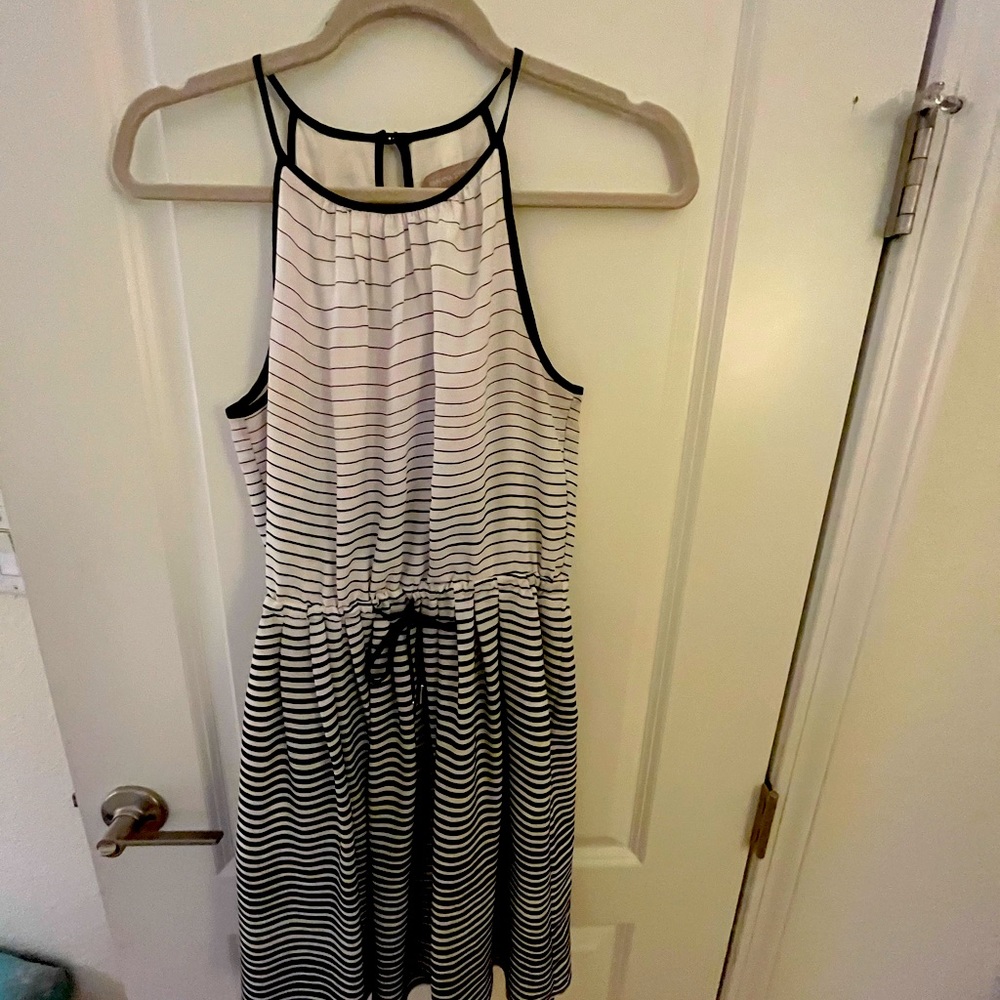 Banana Republic  sleeveless lined dress